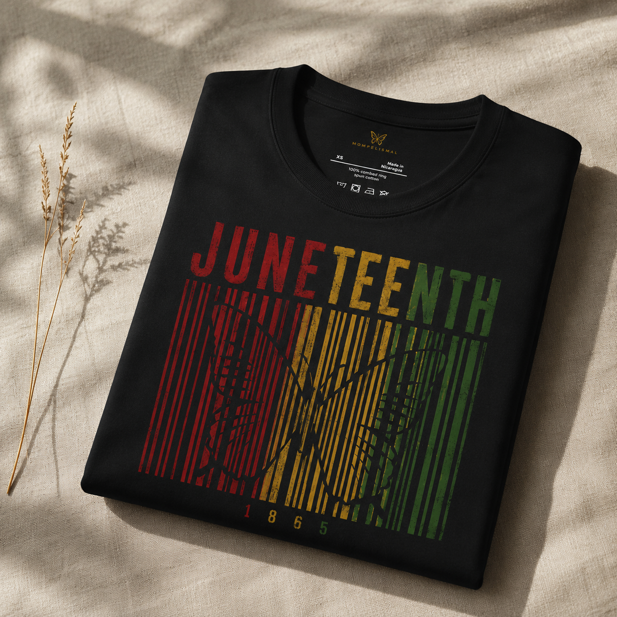 JUNE 19, 1865 Heritage Statement Tee